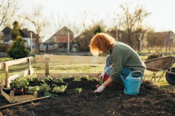 Woman improving her mental wellness and schizophrenia symptoms through gardening